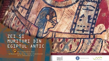 Mumie umană în sarcofag de lemn pictat, restaurată şi expusă din nou la Muzeul Naţional de Istorie a Transilvaniei - VIDEO