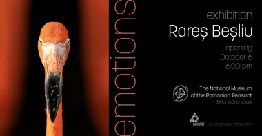 „Emoţii”, prima expoziţie fotografică despre emoţiile vieţii sălbatice, va putea fi vizitată la Muzeul Naţional al Ţăranului Român