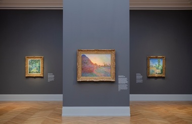 Colecţionarul german Hasso Plattner şi-a închis temporar muzeul, după ce activişti de mediu au aruncat cu piure de cartofi pe pânza de 111 milioane de dolari a lui Monet - VIDEO