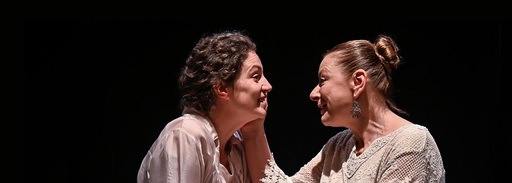 Spectacolele lunii noiembrie la Teatrul Naţional "Radu Stanca" Sibiu - "Trei surori", "Cerere în căsătorie" şi "Bravul Soldat Švejk", între cele 19 reprezentaţii 