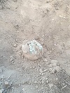 Descoperire arheologică făcută de trei bărbaţi într-o comună din Constanţa - Au fost găsite un vas antic din ceramică şi monede romane/ Arheologii au stabilit că acestea datează din secolul III d.Hr. - FOTO
