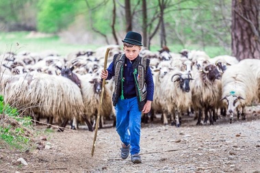 Conferinţa Naţională de Fotografie, între 25 şi 27 aprilie, la Sibiu. Doisprezece fotografi vor susţine prezentări şi ateliere din nouă domenii ale artei fotografice - FOTO
