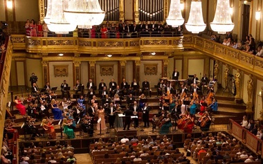Ovaţii pentru Opera Naţională Bucureşti la Sala Musikverein din Viena - VIDEO