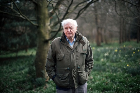 David Attenborough, 97 de ani, va prezenta cea de-a treia şi ultima serie a documentarului „Planet Earth”