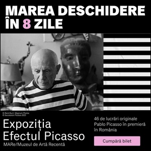 Expoziţia "Efectul Picasso" se deschide pe 27 septembrie la MARe/ Muzeul de Artă Recentă
