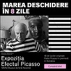Expoziţia "Efectul Picasso" se deschide pe 27 septembrie la MARe/ Muzeul de Artă Recentă