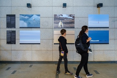 Fotograful Rareş Beşliu a documentat schimbările climatice în două expediţii la Polul Nord: „Fotografiile mele există pentru a vă spune ce nu pot eu să vă spun”