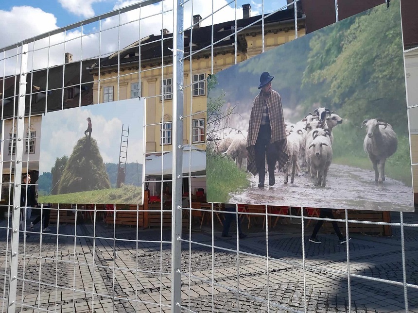 Traseul păstorilor, într-o expoziţie cu caracter mixt, fotografie clasică şi experienţă imersivă, în Piaţa Mare din Sibiu/ FOTO / VIDEO