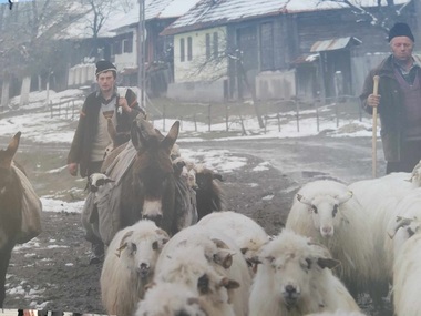 Filmul „Calea laptelui”, de Dumitru Budrala, proiecţie-eveniment la Astra Film Festival