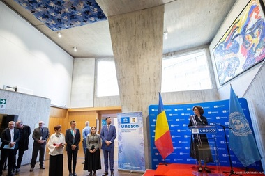 Tapiserie a artistului plastic Mircea Cantor, prima donaţie românescă pentru UNESCO