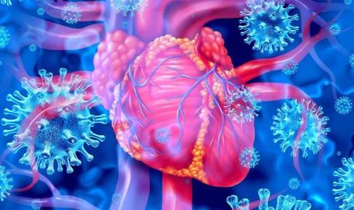 Virusul care provoacă COVID-19 infectează direct arterele inimii. Chiar şi pacienţii cu simptome uşoare de COVID s-ar putea confrunta cu un risc mai mare de a dezvolta boli de inimă şi accident vascular cerebral - studiu