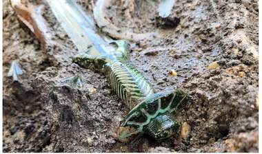 Cele mai importante descoperiri de artă, design şi arheologie ale anului 2023 - FOTO