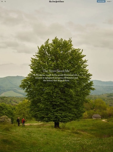 Povestea proiectului de conservare a fagilor de la Nucşoara, în The New York Times. Ana Maria Brânză, Charley Ottley, Răzvan Nedu, între cele 100 de persoane care au adoptat fagi - FOTO
