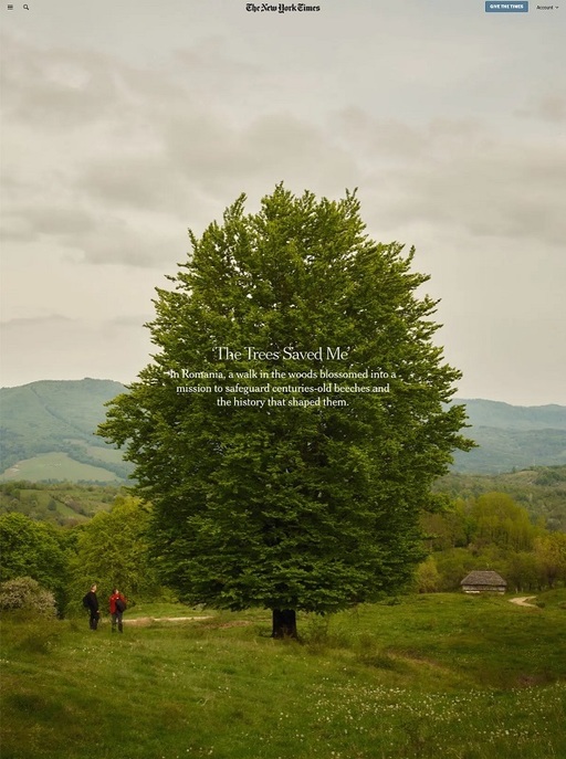 Povestea proiectului de conservare a fagilor de la Nucşoara, în The New York Times. Ana Maria Brânză, Charley Ottley, Răzvan Nedu, între cele 100 de persoane care au adoptat fagi - FOTO