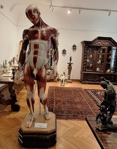Lucrarea "Ecorşeu" a sculptorului Constantin Brâncuşi va rămâne la Muzeul Naţional de Artă din Timişoara până în 2025