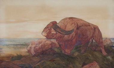O acuarelă, care face parte din ilustraţiile pentru romanul „Cartea junglei”, va fi expusă în casa lui Kipling