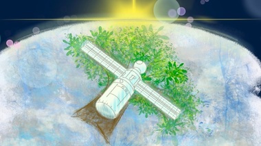 Japonia va lansa primul satelit din lemn din lume, pentru a combate poluarea în spaţiu