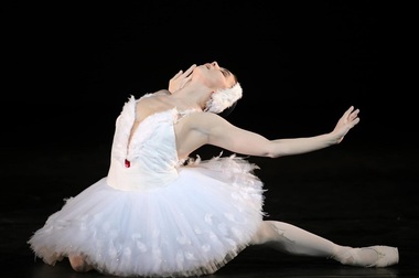 Ministrul Culturii: "Gala "Once Upon a Winter's Dream" a fost o invitaţie la emoţie" - FOTO