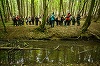 Festivalul Noul Bauhaus European are loc între 9 şi 13 aprilie, la Bruxelles. Proiectul românesc "Pădurea-parc Făget; Plămânul Verde al Clujului", nominalizat la premiile NBE 2024