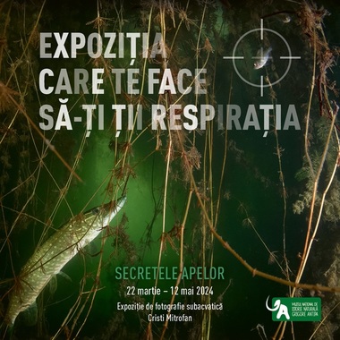 Expoziţia temporară de fotografie subacvatică „Secretele apelor”, la Muzeul „Antipa”