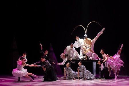 Spectacolul "Alice" al companiei B. Dance din Taipei, în premieră la Bucureşti şi Sibiu