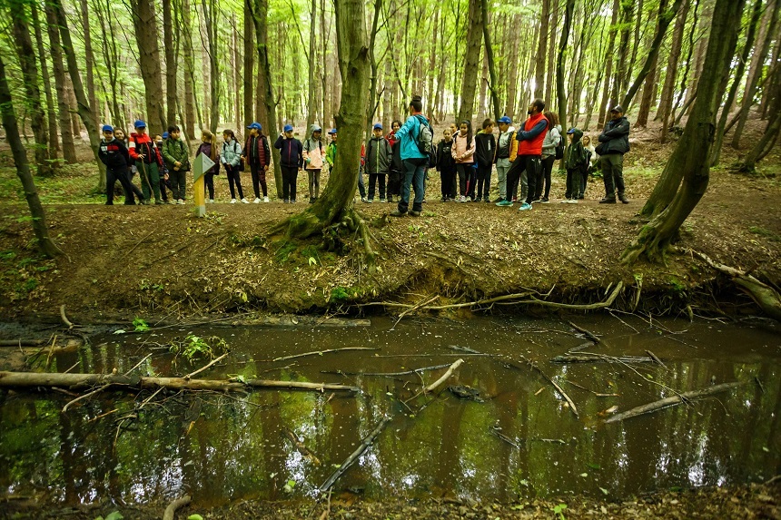 Proiectul românesc "Pădurea-parc Făget; Plămânul verde al Clujului", printre câştigătorii Premiilor Noului Bauhaus European, ediţia 2024