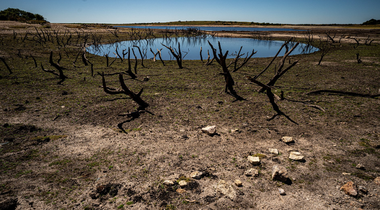 Criza climatică - Veniturile medii mondiale vor scădea cu aproape o cincime până în 2050