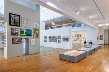Muzeul Naţional de Artă Contemporană din Bucureşti, Muzeul Brukenthal din Sibiu şi Complexul Muzeal „Moldova” Iaşi primesc în total 1,5 milioane de lei pentru achiziţii de lucrări de artă