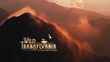 Cea de-a doua ediţie LYNX Festival, eveniment dedicat exclusiv fotografiei şi documentarului de natură, va avea loc între 4 şi 9 iunie la Braşov
