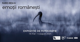 Prima expoziţie temporară a Muzeului Antipa despre viaţa sălbatică din România