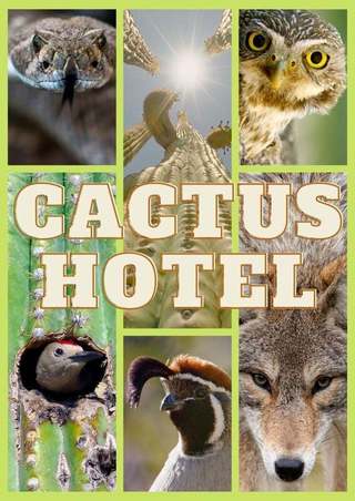 Documentarul „Cactus Hotel” este câştigătorul celei de-a doua ediţii a LYNX Festival. Peste 2.000 de spectatori, proiecţii sold-out şi dezbateri la eveniment