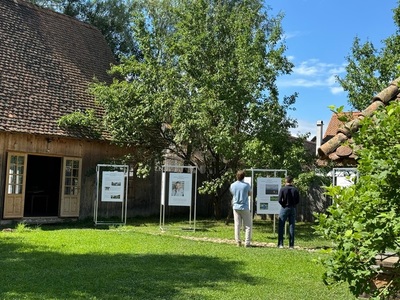 Casa din Viscri a regelui Charles al III-lea găzduieşte o expoziţie de pictură George Matei Cantacuzino/ FOTO