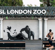 Banksy eliberează animalele de la Grădina Zoologică din Londra pentru a încheia seria intrigantă