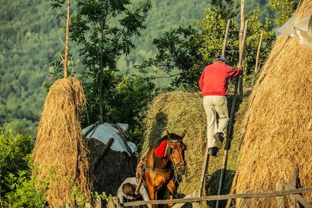 Monografii audio-vizuale ale satelor din România - O radiografie a fenomenului migraţiei din urban către rural, realizată de avocaţi, scriitori, arhitecţi, ecologişti