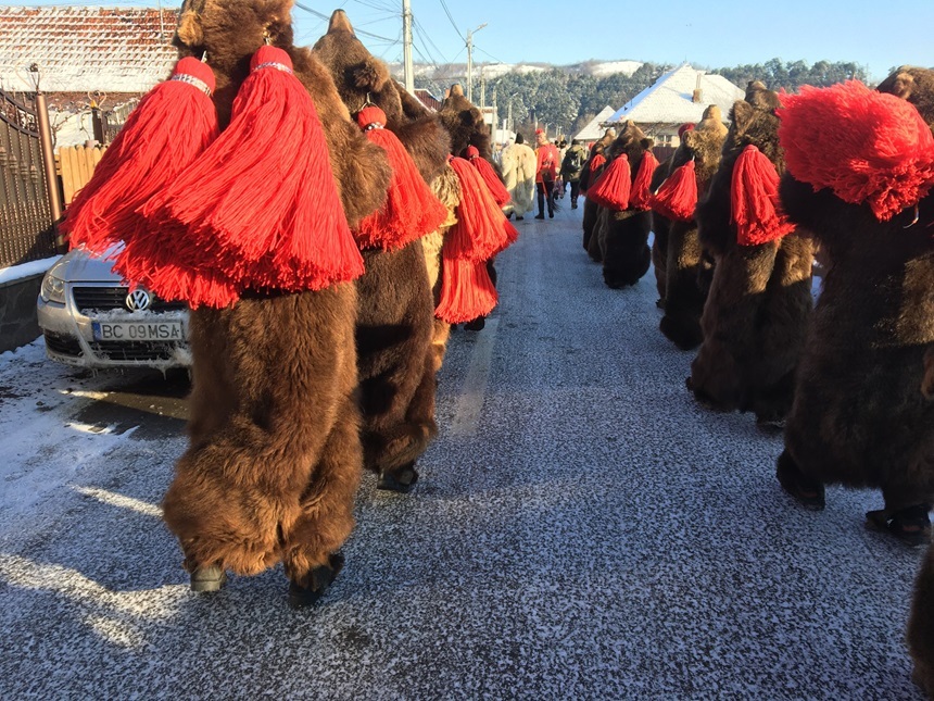 Obiceiuri şi superstiţii de Anul Nou la români - Pluguşorul, Jocul Caprei şi Jocul Ursului, practicate încă din cele mai vechi timpuri. Vâsc, bani în buzunar şi haine noi, pentru belşug şi noroc