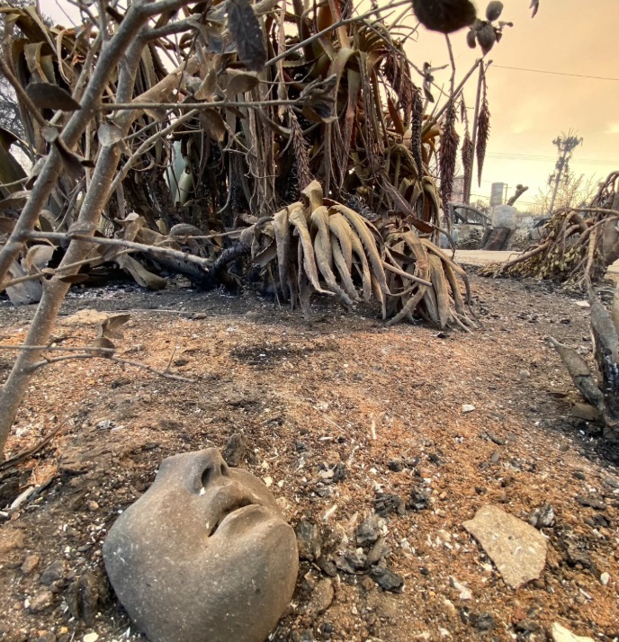 Incendii în Los Angeles - Numeroase colecţii de artă devastate de flăcări/ FOTO