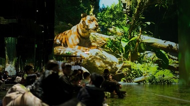 "Planeta Animalelor", un nou concept de spectacole imersive la MINA Museum