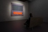 Un copil a deteriorat un tablou de Rothko în valoare de 50 de milioane de euro la Muzeul Bojimans din Rotterdam