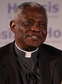 Cardinalul Turkson, favorit pentru a deveni primul papă african
