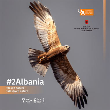 Diversitatea naturală din Albania, într-o expoziţie la Muzeul "Antipa"