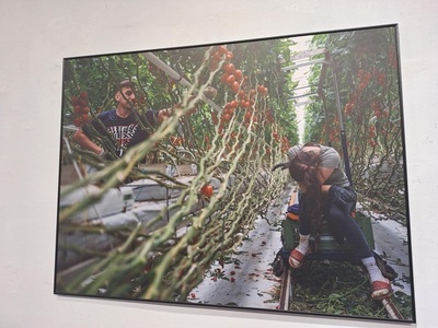 Poveşti ale diasporei cu puternic impact emoţional, documentate într-o expoziţie „misiune de serviciu public”, în premieră la TIFF/ FOTO