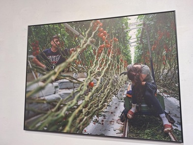 Poveşti ale diasporei cu puternic impact emoţional, documentate într-o expoziţie „misiune de serviciu public”, în premieră la TIFF/ FOTO