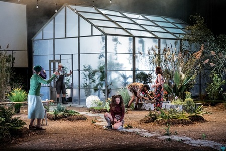 Spectacolele „Ierbar” în regia lui Radu Afrim, „Nijinski - Agonie şi extaz” cu Răzvan Mazilu şi o nouă reprezentaţie „Flamenco fusion”, în programul FITS 2025