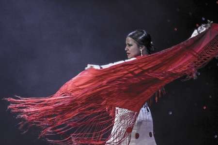 FITS 2025 debutează vineri la Sibiu - Spectacole impresionante, instalaţii remarcabile şi artişti stradali din toată lumea. Program cu 841 de evenimente şi 5000 de artişti din 82 de ţări
