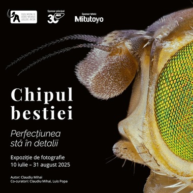 Lumea ascunsă a insectelor, în expoziţie de fotografie macro la Muzeul „Antipa”