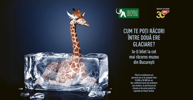 Promoţie specială pentru vizitatorii Muzeului „Antipa” - Intrare gratuită în sera cu fluturi exotici vii