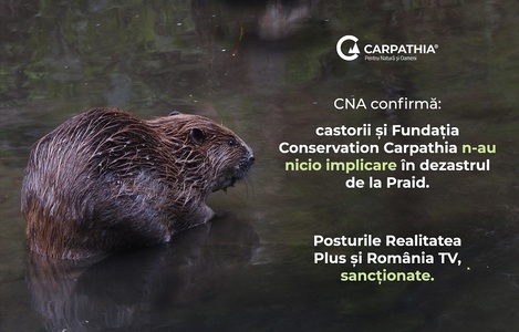 CNA a sancţionat televiziunile care au promovat dezinformarea privind castorii şi Salina Praid 