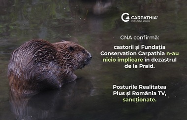 CNA a sancţionat televiziunile care au promovat dezinformarea privind castorii şi Salina Praid 