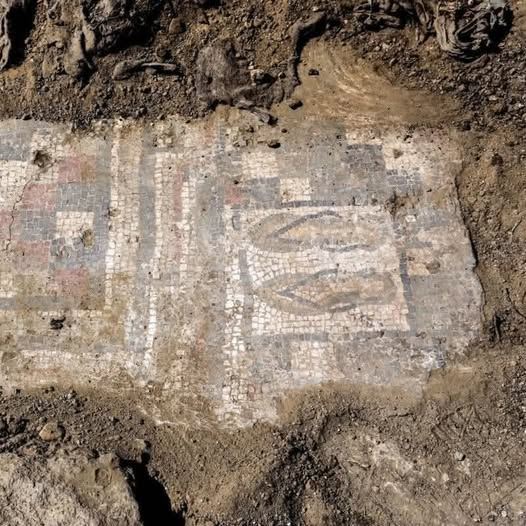 Arheologii au descoperit, într-o vilă romană antică, un mozaic reprezentând şlapi