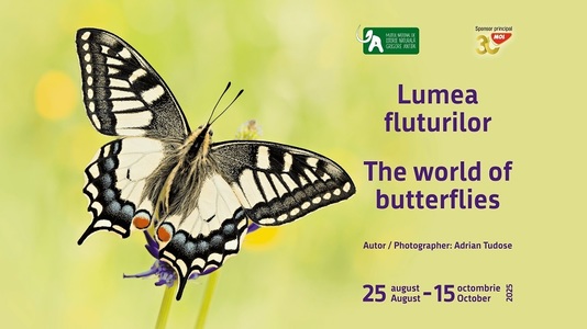 „Lumea fluturilor”, o nouă expoziţie outdoor la Muzeul "Antipa"